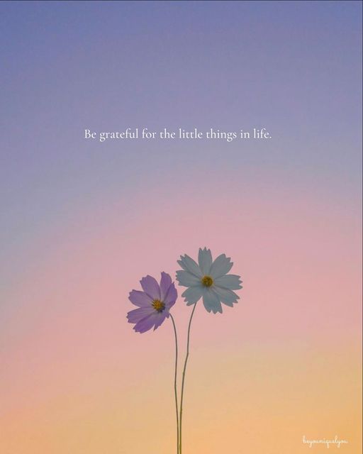 two daisies with the words be grateful for the little things in life above them