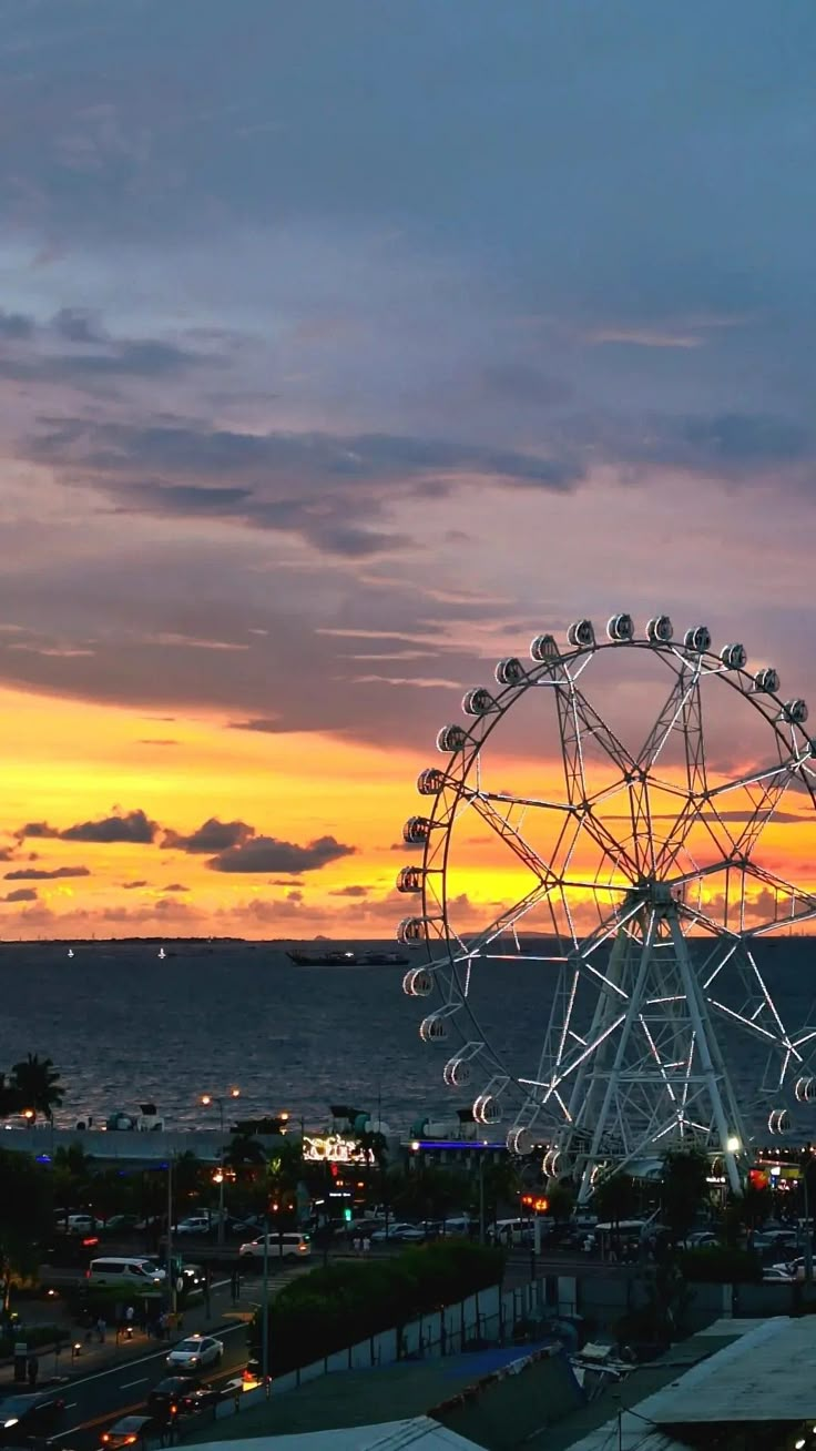 a ferris wheel sitting on top of a lush green field next to the ocean at sunset