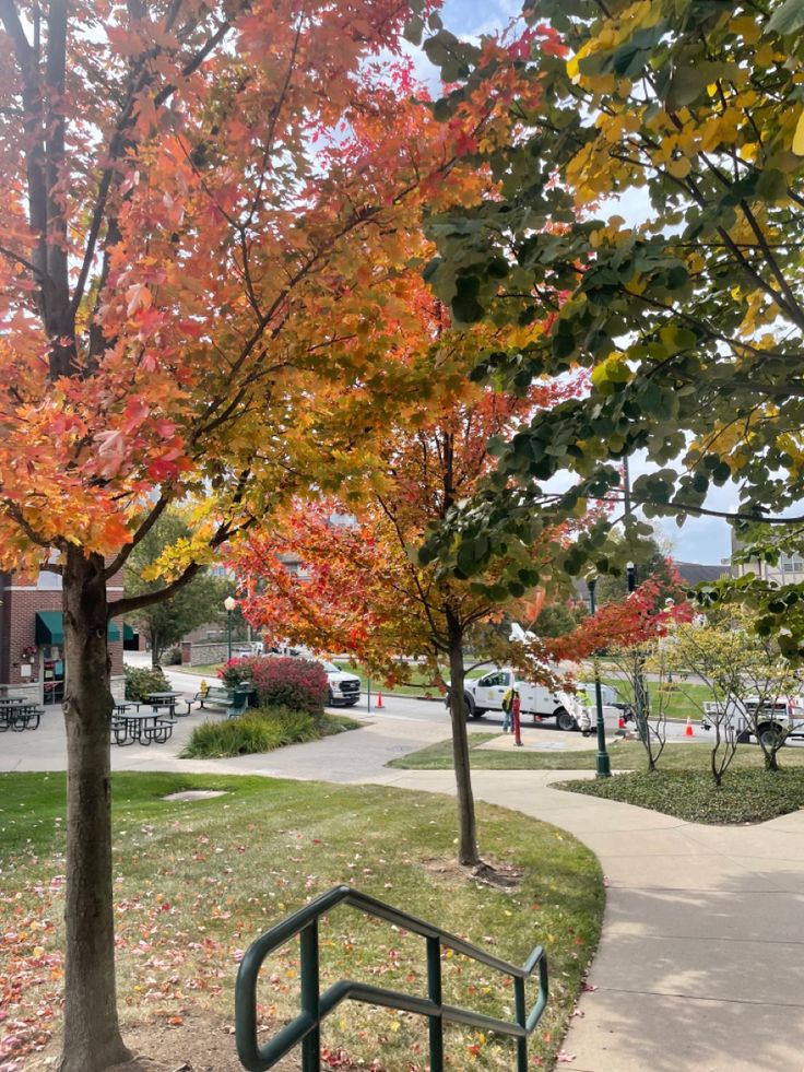 the park has many trees with colorful leaves