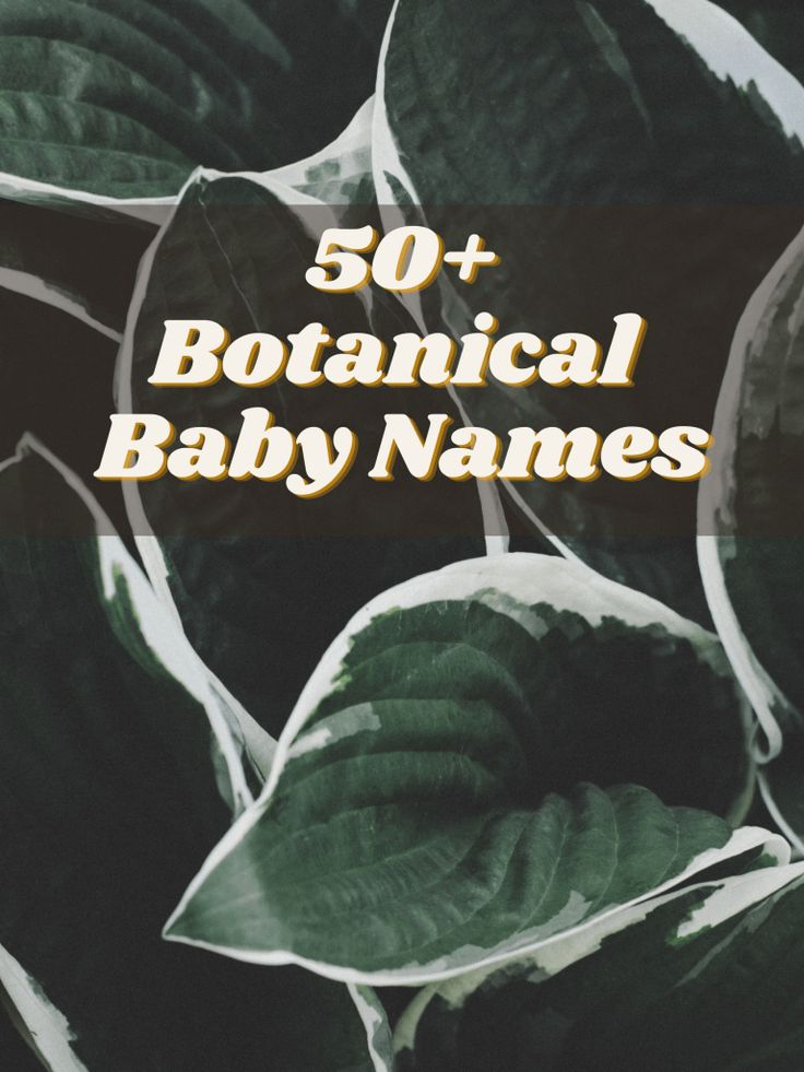 some green leaves with the words 50 botanical baby names