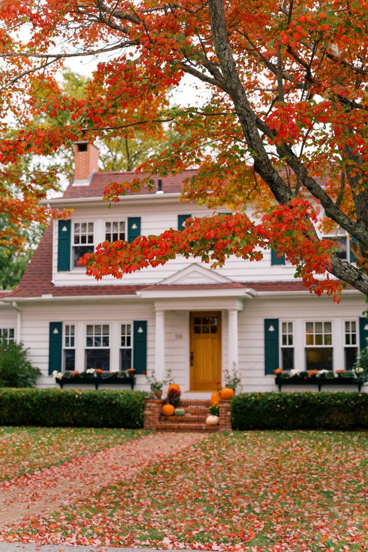 a white house with green shutters and red leaves on the ground in front of it