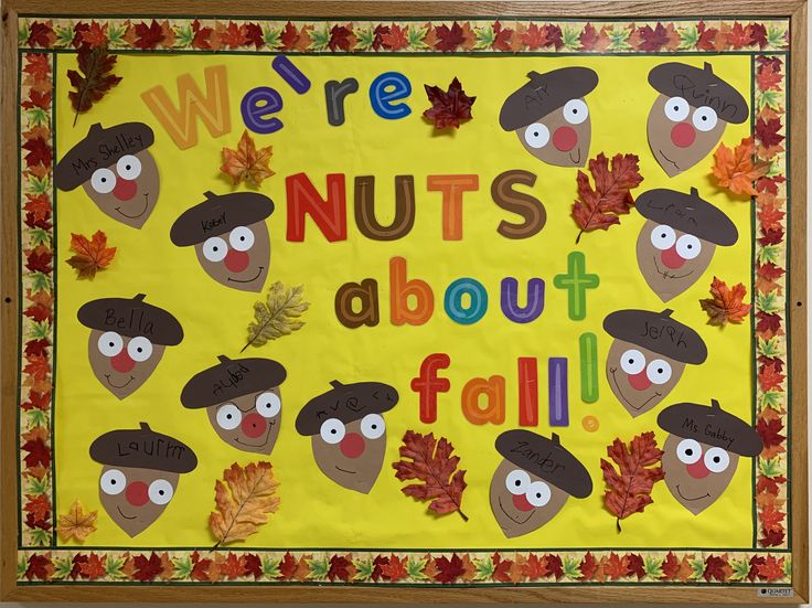 a bulletin board with the words we're nuts about fall