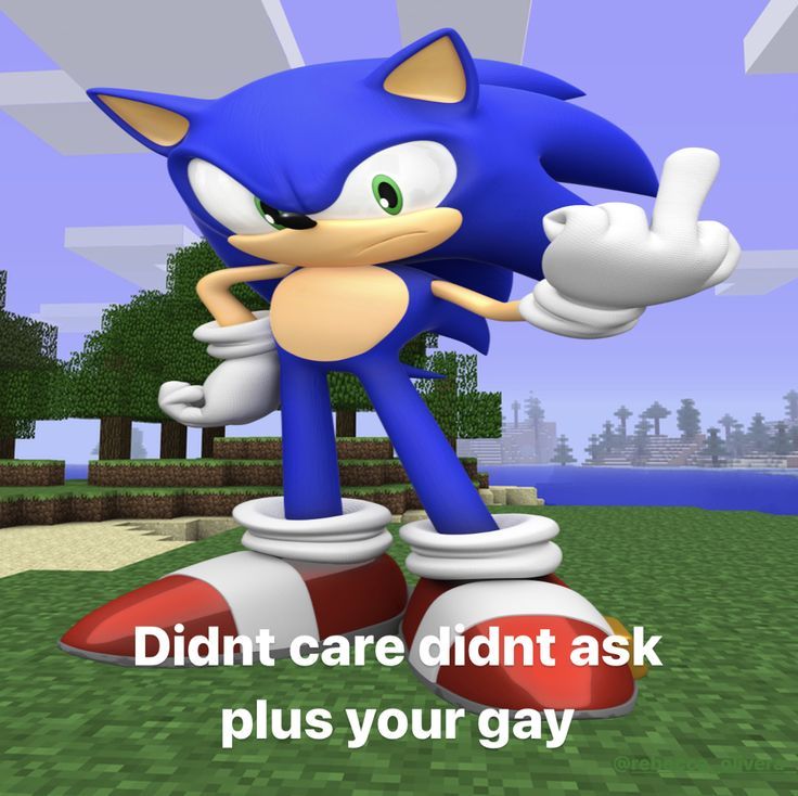 sonic the hedge is pointing at something in front of him and says, didnt care didn't ask plus your gay