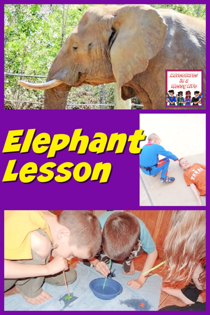 an elephant lesson is shown with pictures of children