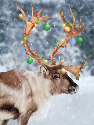 a reindeer with christmas lights on its antlers in the snow, looking at something