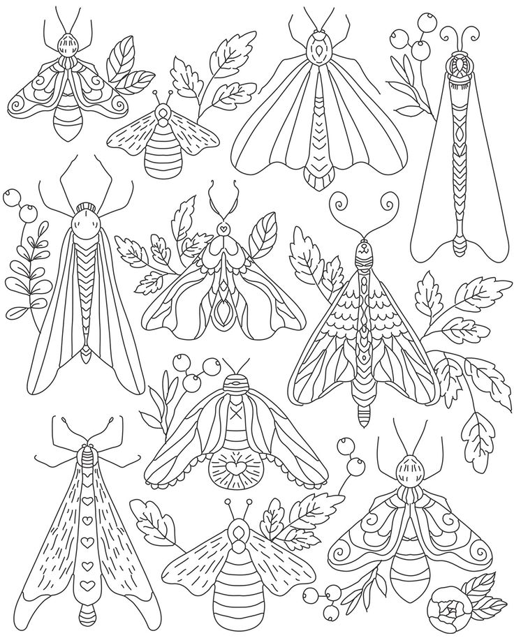 a coloring page with different types of bugs