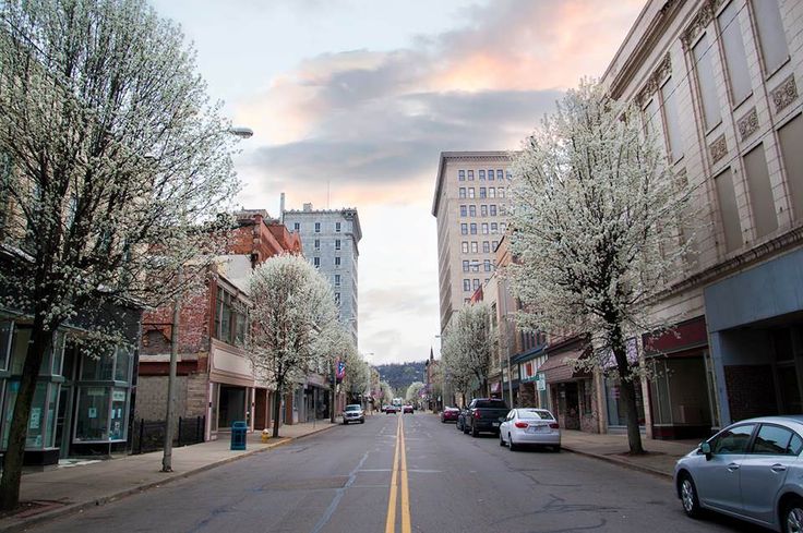 cars are parked on the street in front of tall buildings and trees with white blossoms