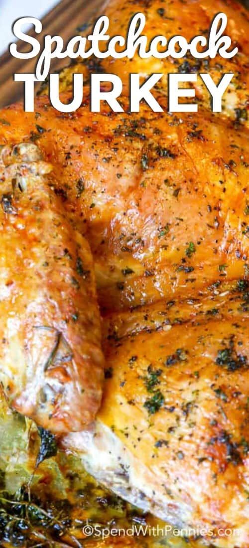 a close up of a chicken in a pan with the words spackcook turkey on it