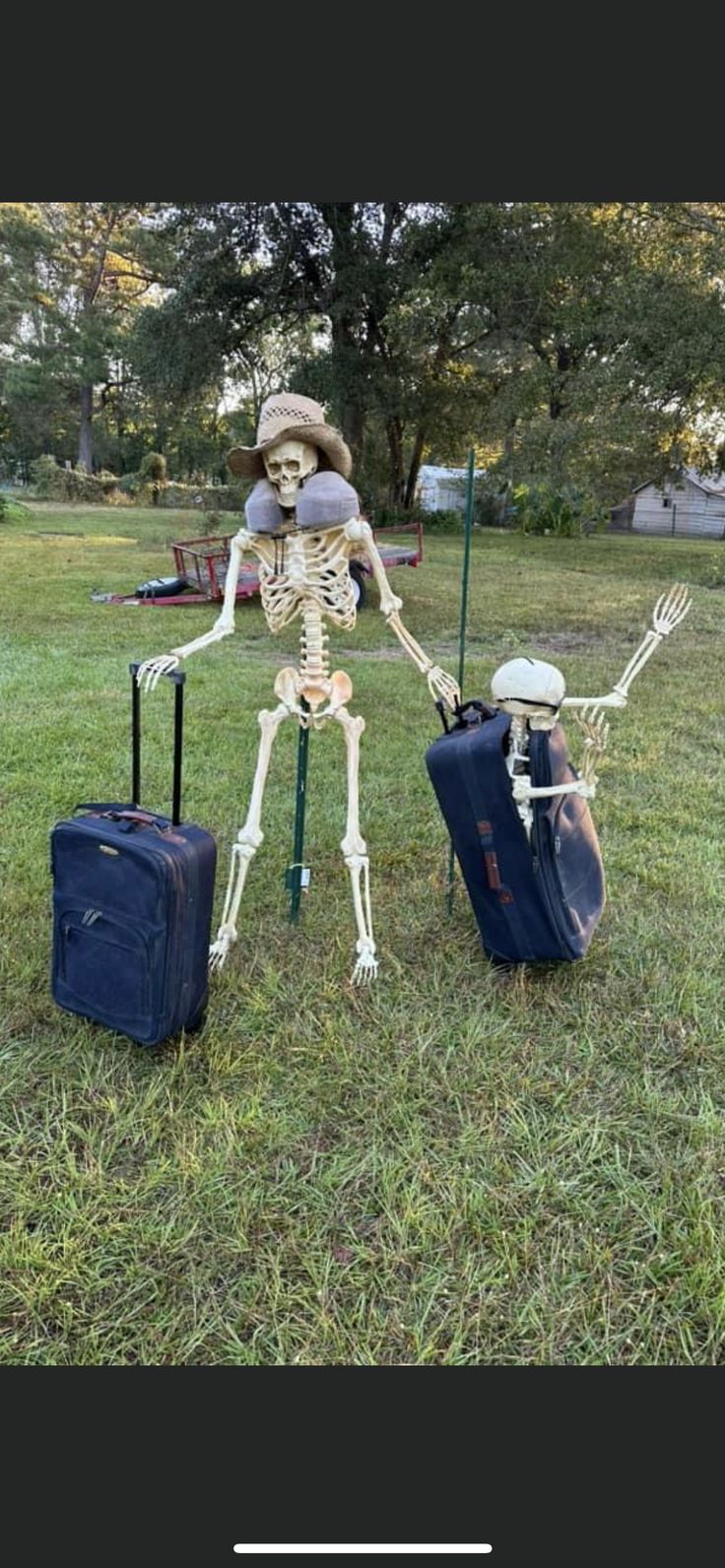 a skeleton with luggage is standing in the grass