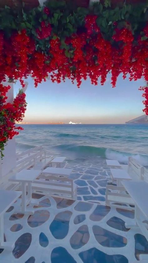 an outdoor dining area with red flowers on the walls and water in the background at sunset