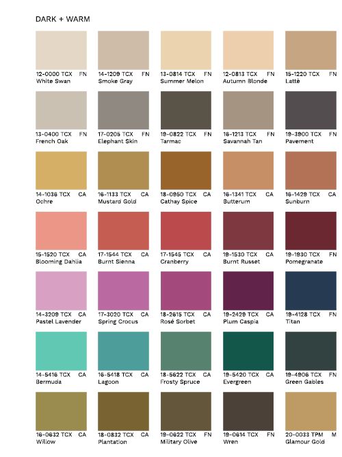 the color chart for dark and warm colors, with different shades to choose from in each section