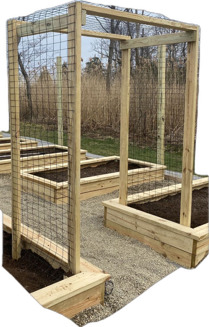 two wooden raised beds with fencing around them