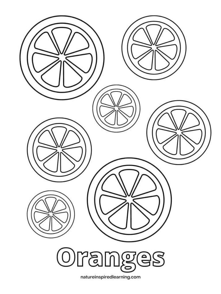 an oranges coloring page with four slices