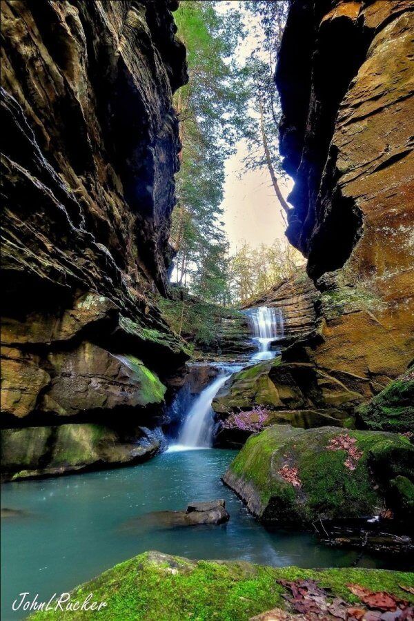 a river running through a lush green forest filled with lots of rocks and greenery