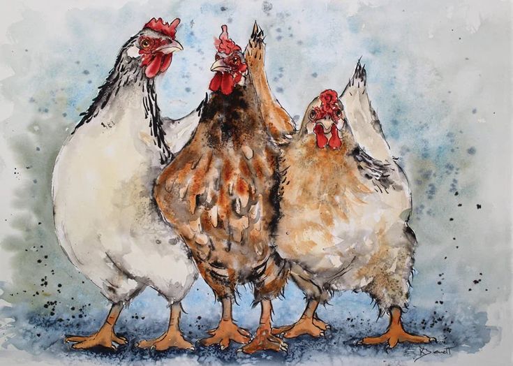 three chickens standing next to each other on a blue background