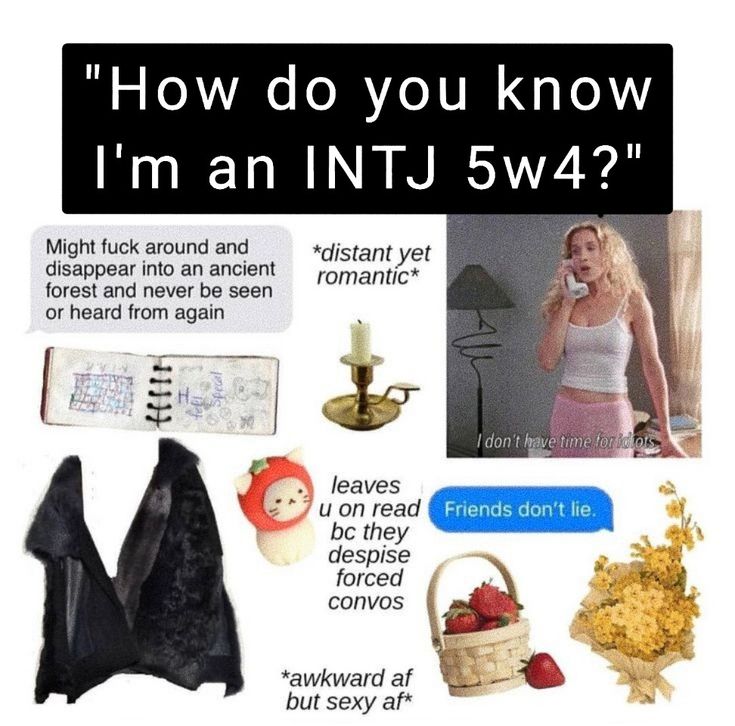 Gifts For Intj, Intj Test, Intj And Entp, Entp And Infj, Intj Girl, Intj 5w4, Intj Things, Entp Infj, 5 Enneagram