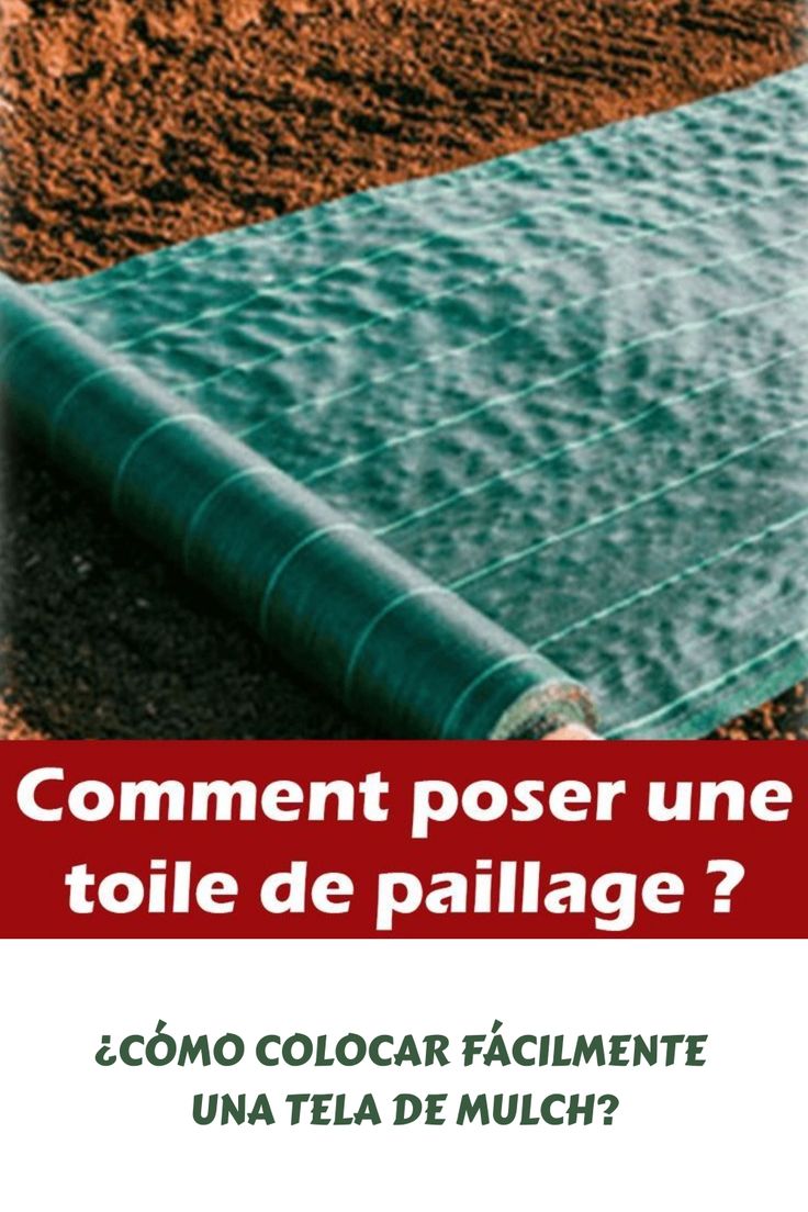 the cover of a book with an image of a baseball field in the background and text that reads comment poser une toile de paillage?