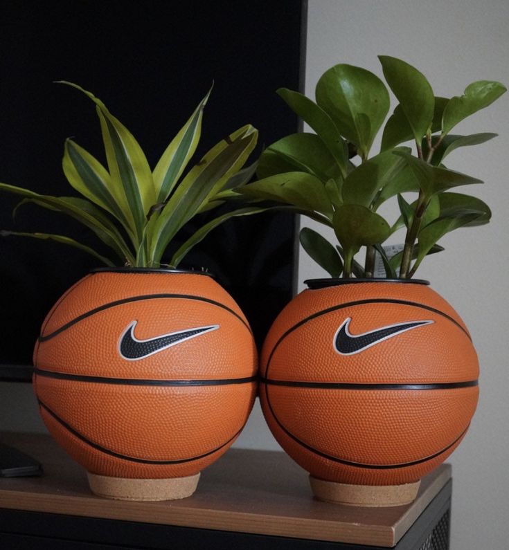 two basketballs are sitting on top of a table with plants in the bottom one