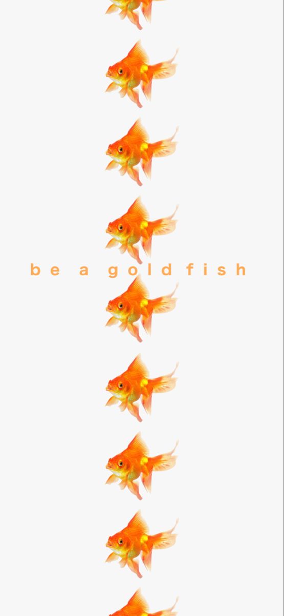 an image of goldfish in the water with words below it that read be a gold fish