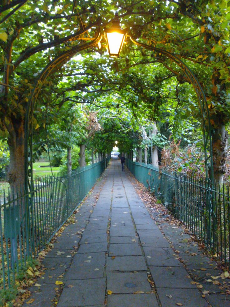 the walkway is lined with trees and green fenced in areas that have many leaves on them