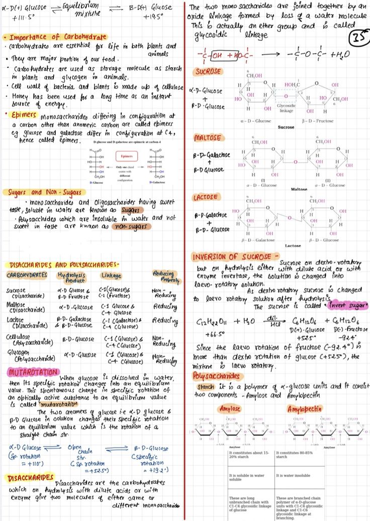 an open notebook with writing on it and some notes about different types of numbers in the text