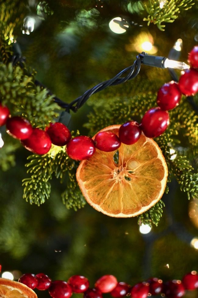 an orange slice hanging from a christmas tree