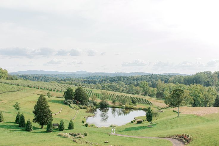 a small pond in the middle of a green field