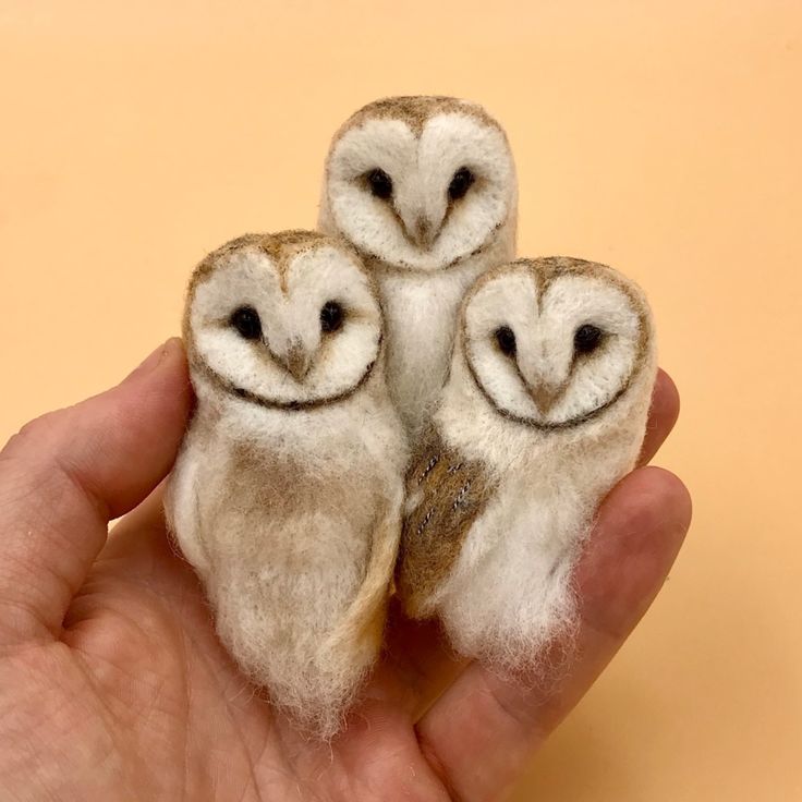 two small owls sitting on top of each other