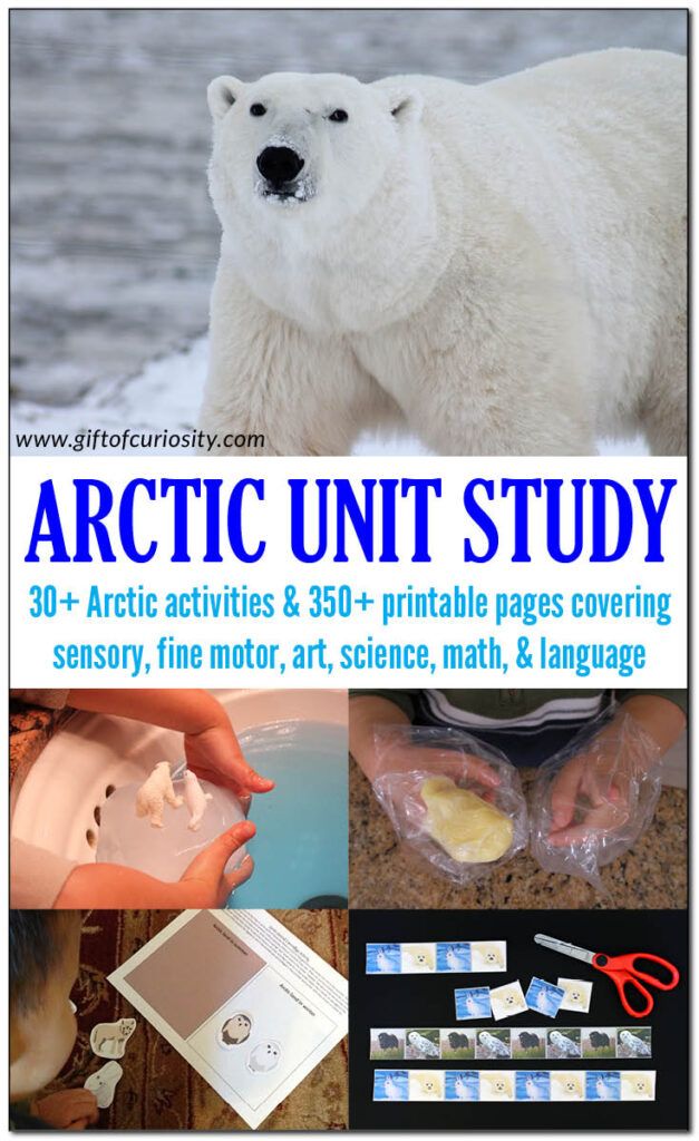 an advertisement for arctic unit study with pictures of polar bears and other things in the background