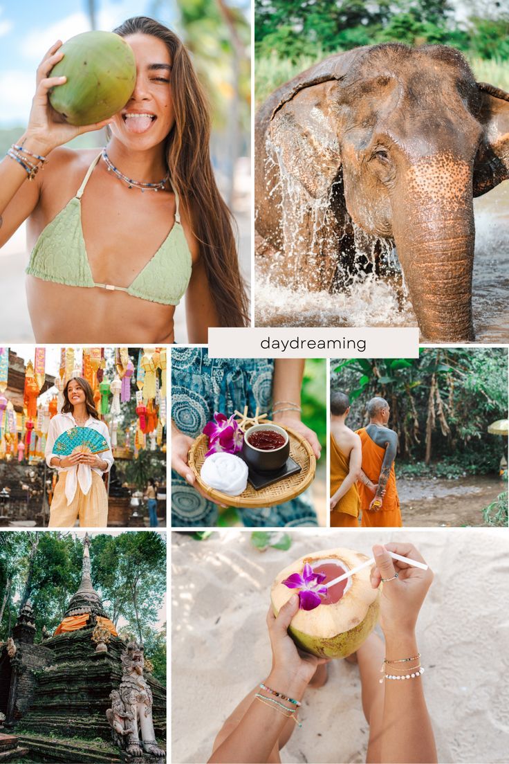 Collection of images featuring moments in Thailand. Model is wearing a bikini and holding a coconut. Elephant is bathing in water. Model is standing in front of lanterns and holding a fan. Model is holding ethnic foods from Thailand. Image of monks. Image of temple. Image of model holding a coconut. Next Holiday, Tropical Vibes, Mood Board, Dreaming Of You, Finding Yourself, Let It Be, Travel