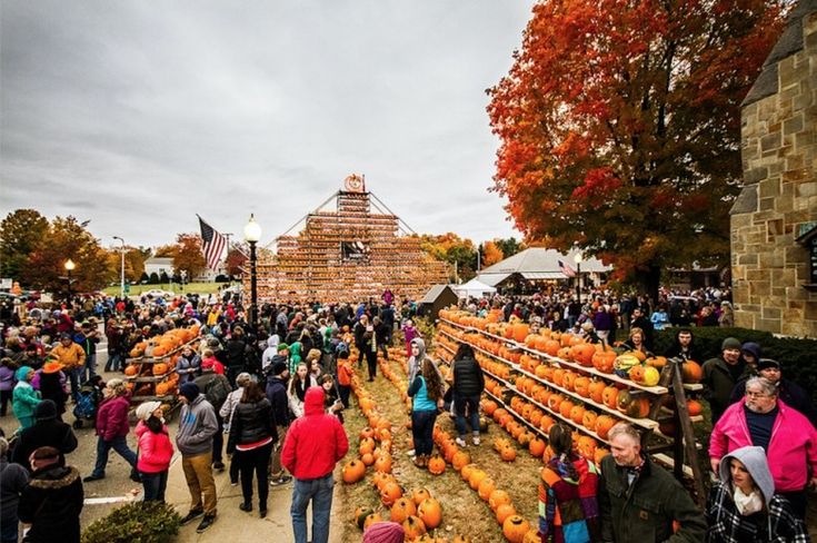 a large group of people standing around pumpkins