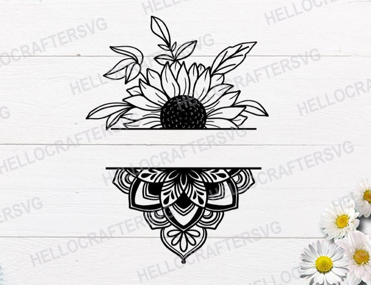 two sunflowers and one daisy on a white wooden background with the word hello flowers