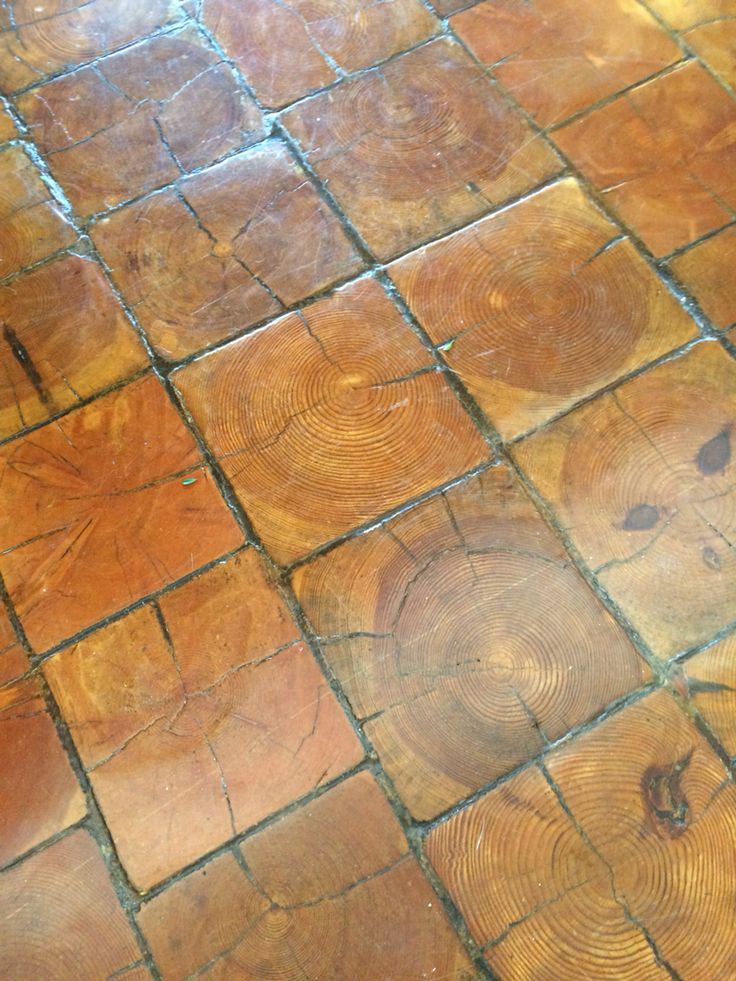 an orange cat laying on top of a wooden floor