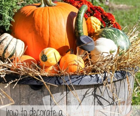 pumpkins and gourds in a bucket with hay