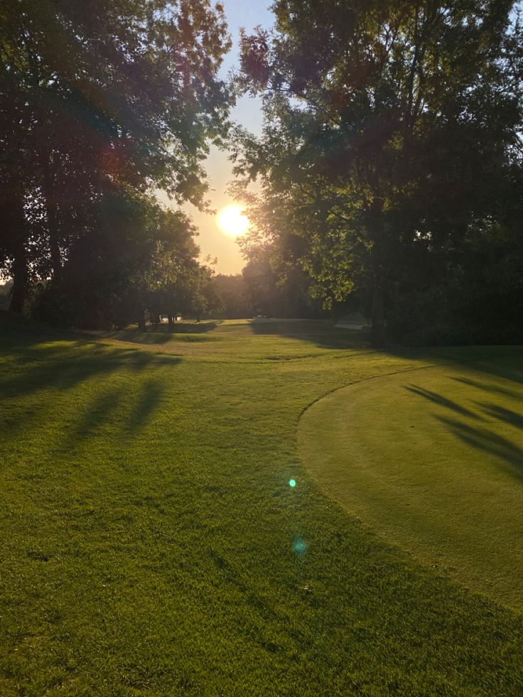 the sun shines brightly through the trees on this golf course