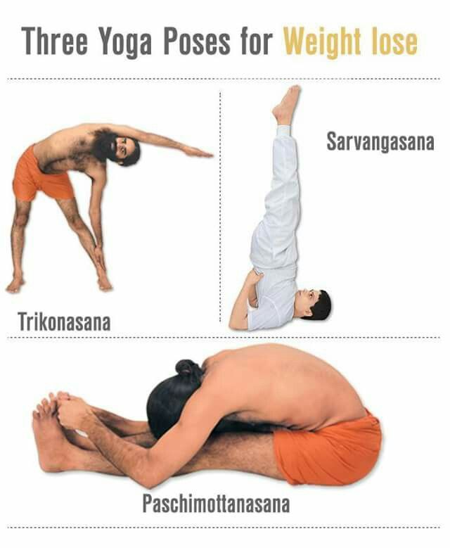 Baba Ramdev Yoga, Ramdev Yoga, Yoga Chart, All Yoga Poses, World Yoga Day, Baba Ramdev, Yoga Routine For Beginners, Yoga Facts, Yoga Guide