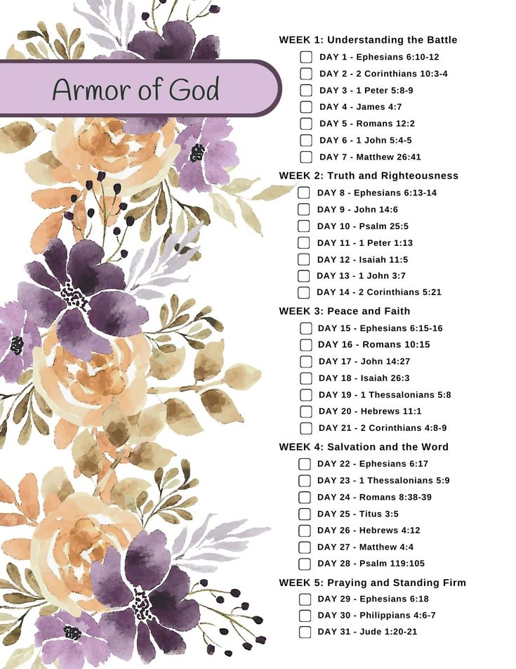 the armor of god printable checklist is shown in purple and orange flowers on a white background