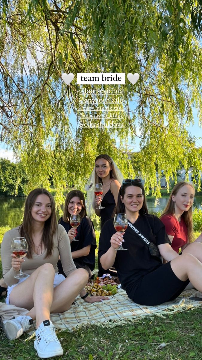 a group of women sitting on top of a blanket holding wine glasses