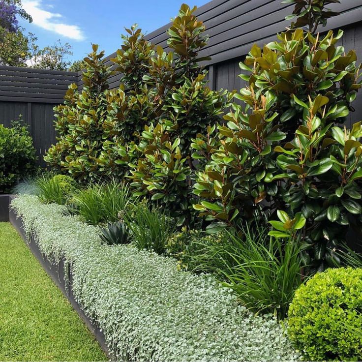 a row of bushes in front of a fence with green grass and shrubs around it