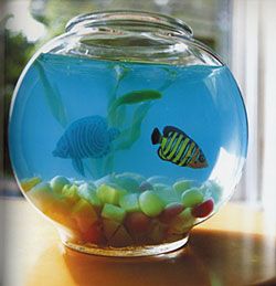 a fish bowl filled with green and yellow pebbles on top of a table next to a window