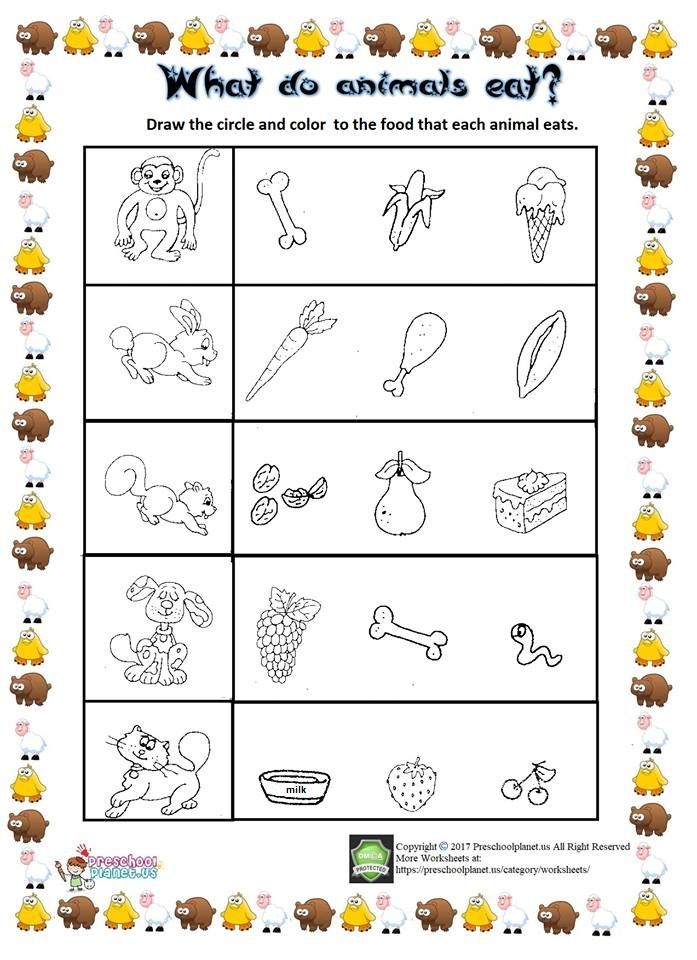 what do animals eat? worksheet for kids to learn how to draw and color