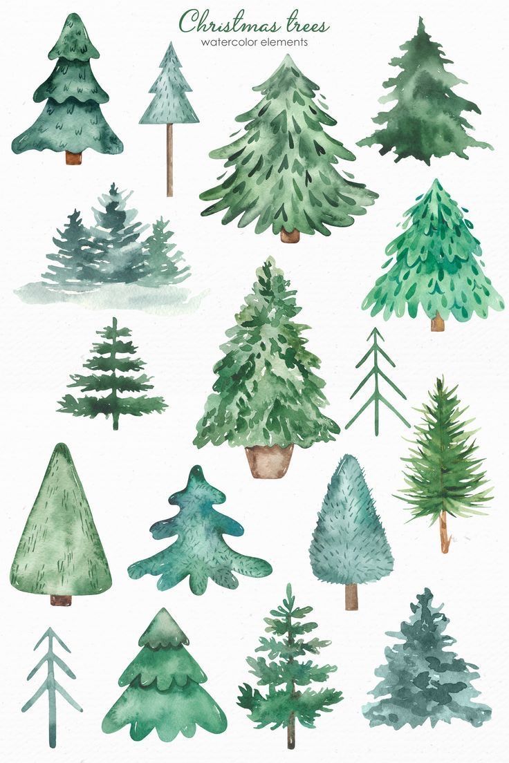 watercolor christmas trees on white paper