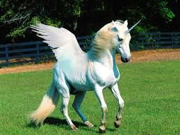 a white unicorn with wings is running in the grass