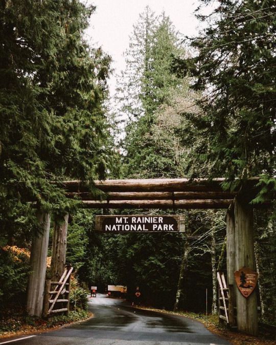 the entrance to mt rainier national park