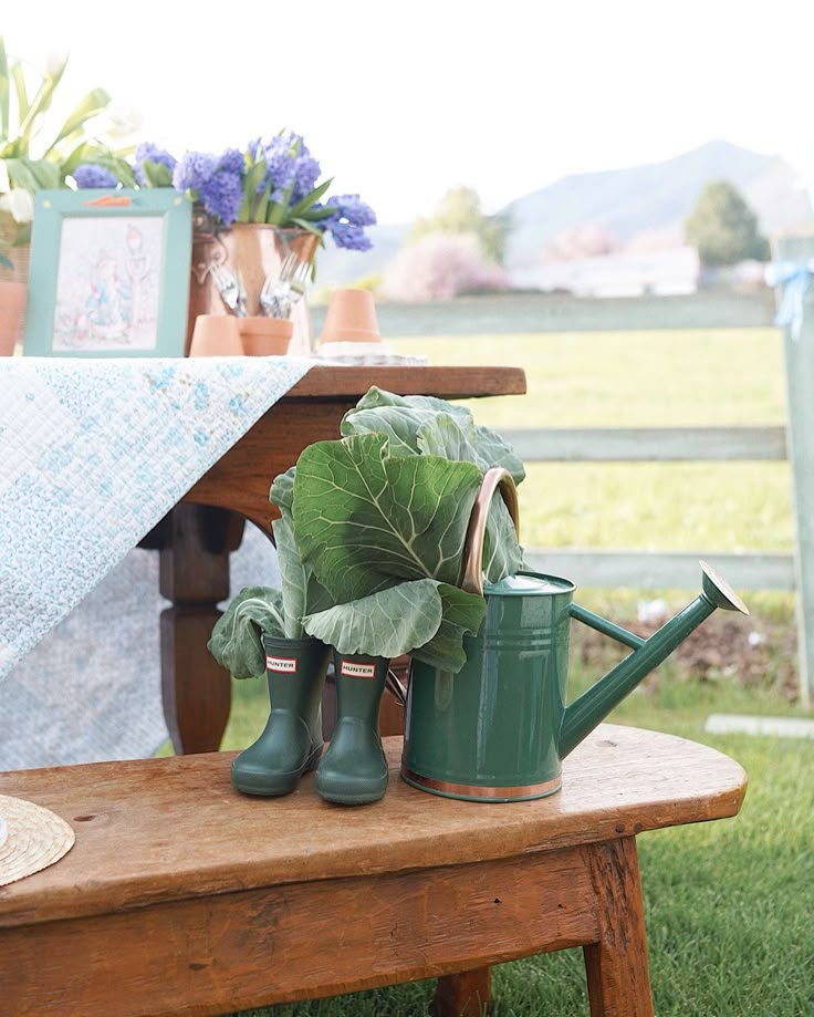 a wooden bench topped with green plants and watering can on top of grass covered ground