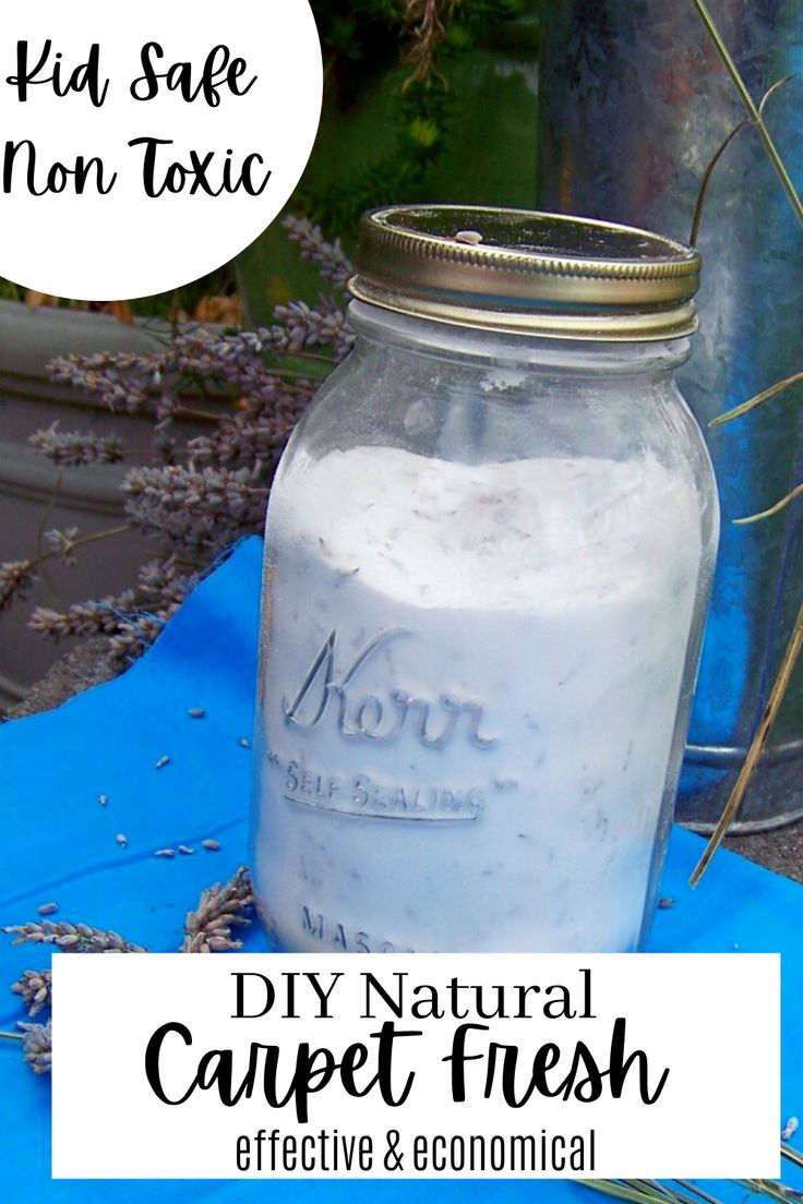 diy natural carpet fresh is an easy way to clean and dehydraate