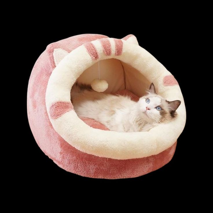 a cat laying in a pink and white kitty bed on top of a black background