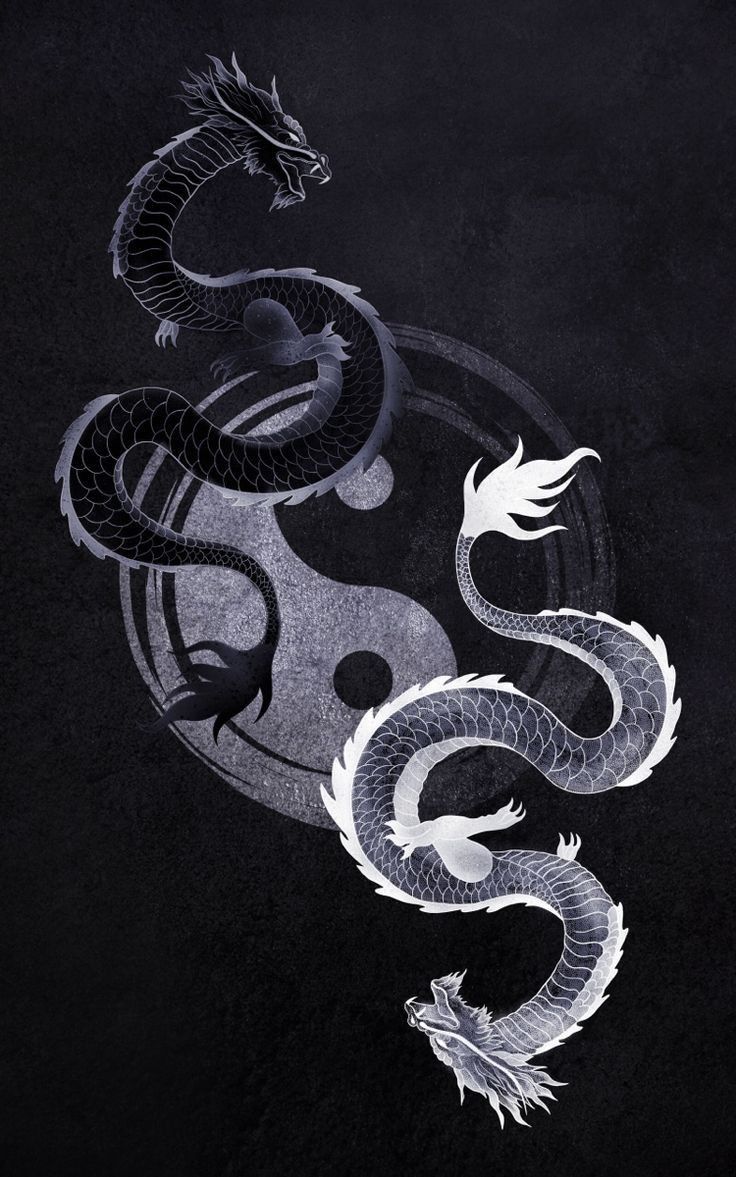 two white and black dragon on a black background