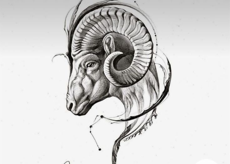 an ink drawing of a ram's head with the name aris on it