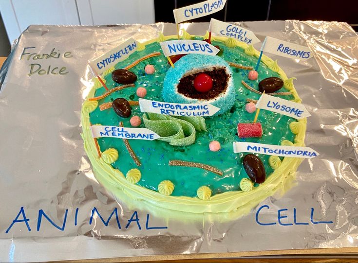 an animal cell cake with labels on it